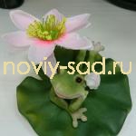  Лягушонок под цветком - 1