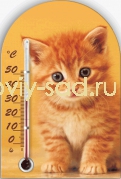  Термометр комнатный Рыжий кот