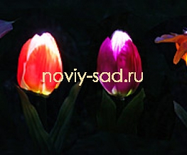  Светящийся цветок Тюльпан